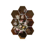 hexagons-bloemen-oude-meesters